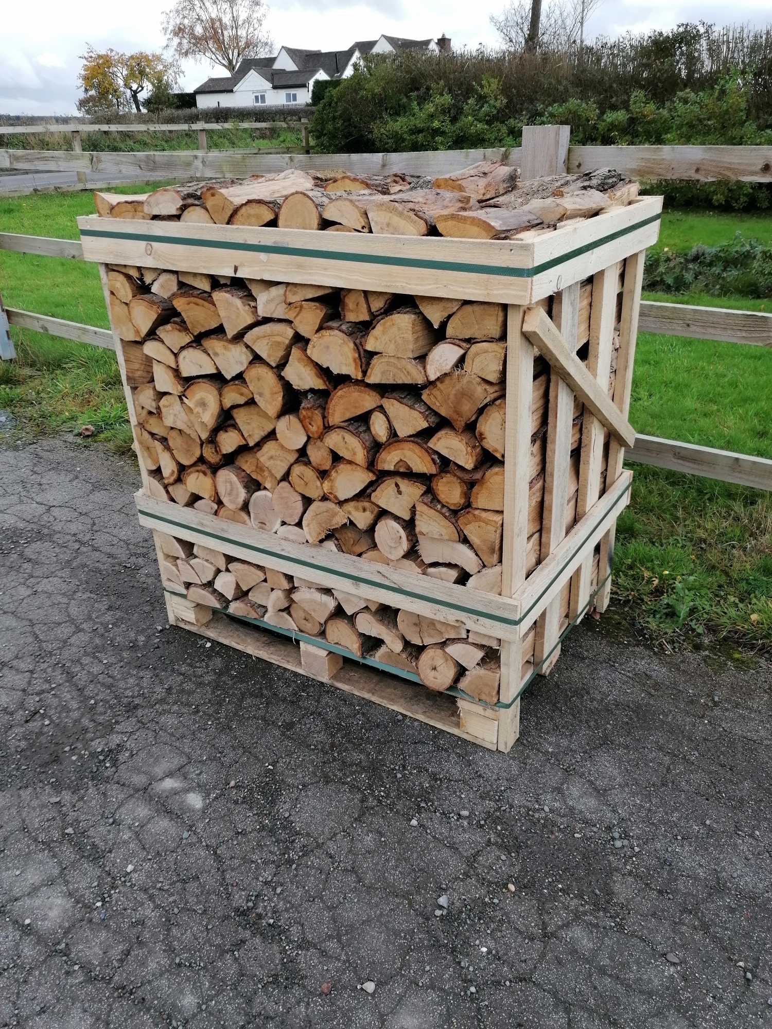 Kiln dried oak logs